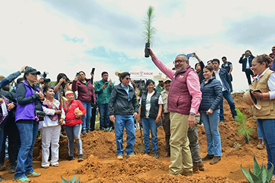 Gobierno del Estado de México pone en marcha Plan de Restauración Forestal y entrega apoyos económicos a ejidatarios – Edomex Al Día